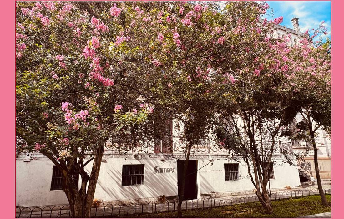 Início de ano nas ETECs e FATECs: Organização, humanidade e compromisso com o ensino Início de ano nas ETECs e FATECs: Organização, humanidade e compromisso com o ensino